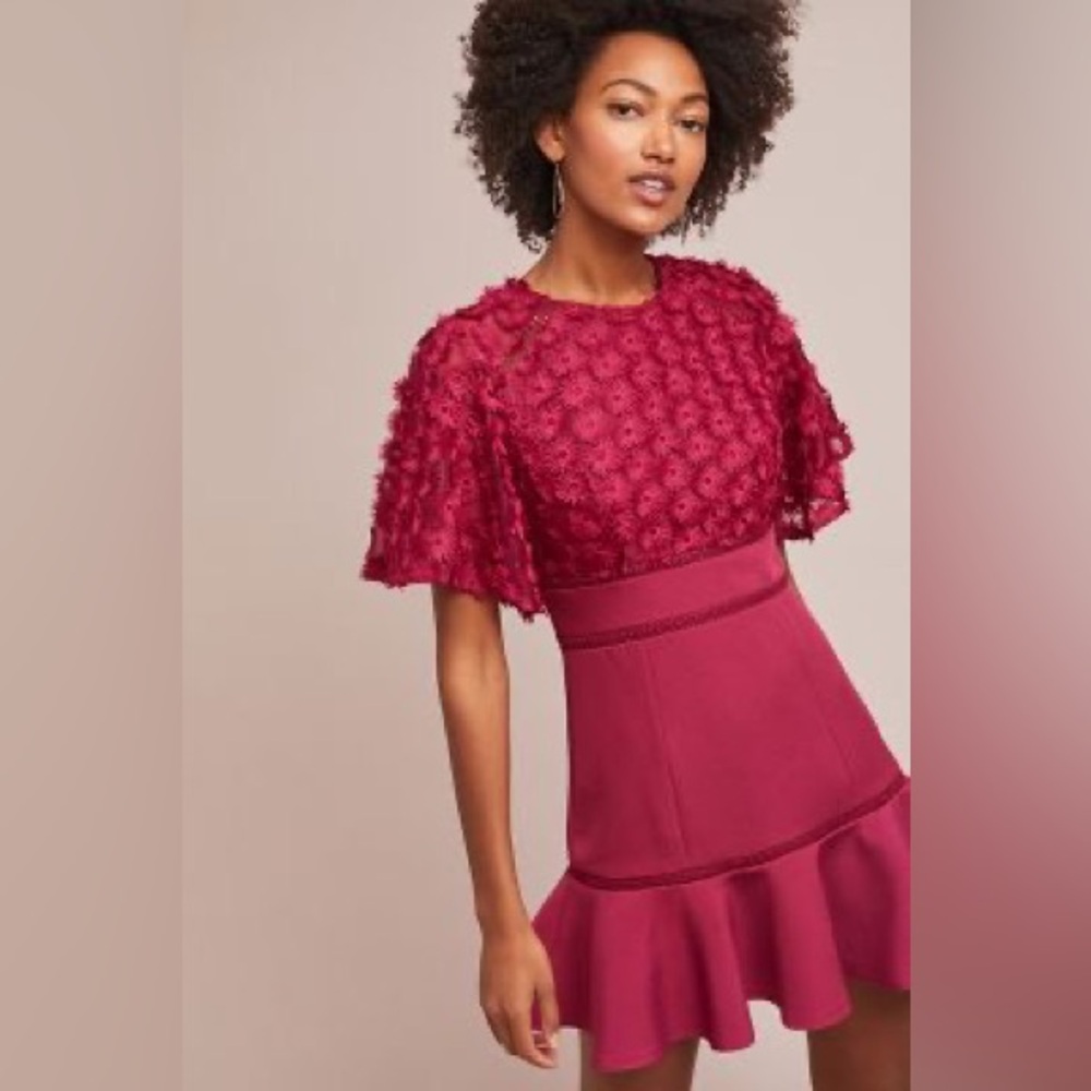 Anthropologie Rosabelle Mini Dress